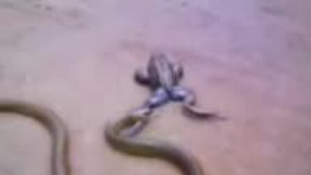 Se non smetti di lottare, non è mai finita!