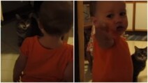 Discussioni tra una bimba e un gattino prima di andare a letto: la scena è comica