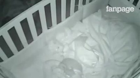 Pais levam filha para dormir na cama. Ao verem o monitor da bebê eles fazem uma descoberta comovente