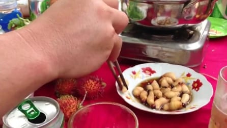 Mangiano gustose larve vive come fossero bocconcini