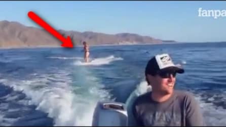 Sua namorada está surfando mas algo estranho acontece atrás de ela