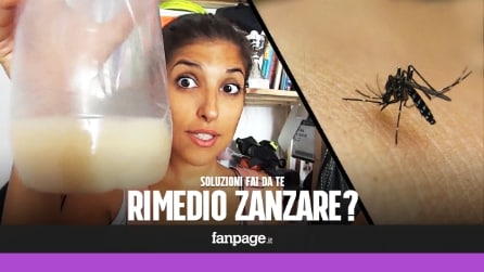 Antizanzare fai-da-te: la trappola in bottiglia con lievito e zucchero