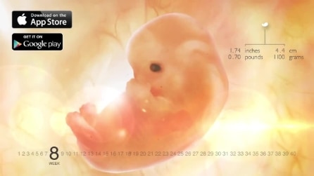 La gravidanza settimana dopo settimana: ecco come si trasforma il corpo