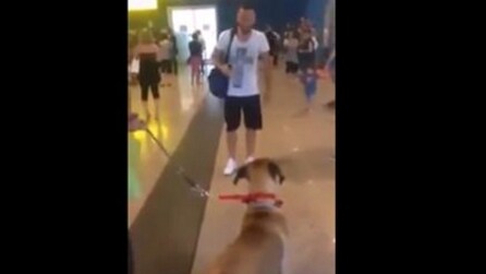 Três anos se passaram: quando o cachorro vê o dono tudo se torna comovente.