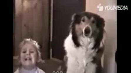 "Sorriam": a reação do cachorro é de morrer de rir!