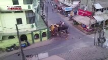 L'elefante è una furia in strada e disturgge tutto