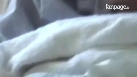 Mulher é doente terminal: o que este cachorro faz vai derreter seu coração