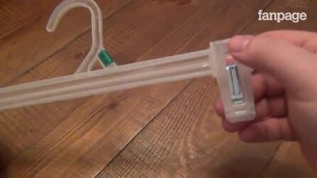 Usa cebides velhos, os corta e veja o que cria!