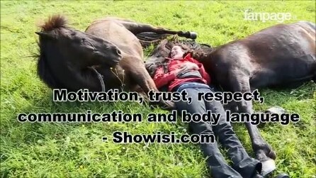 Mulher se deita entre os dois cavalos, conifra a reação deles