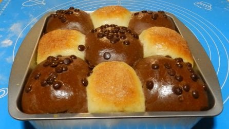 Danubio dolce e soffice: un doppio colore per un gusto unico