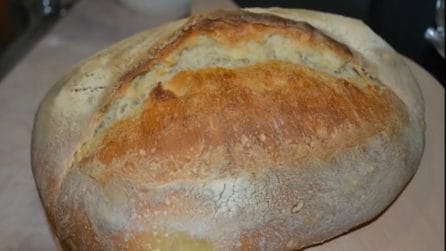 Pane cafone: la ricetta tipica napoletana per una crosta spessa e croccante