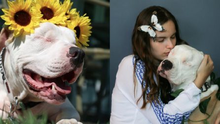 Investito e poi abbandonato: ha perso la vista ma ha trovato l'amore di una famiglia