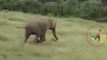 https://youmedia.fanpage.it/sitemap-video.xml?m=2018-10