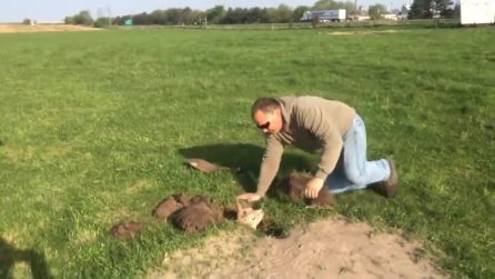 Trova un animale bloccato nel terreno: scava per liberarlo