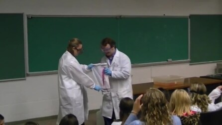 La proposta di matrimonio "scientifica": la fatidica domanda arriva in laboratorio