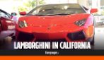 Concessionario Lamborghini a Newport Beach: "Orgogliosi di essere italiani"