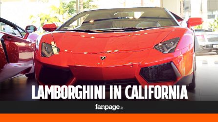 Concessionario Lamborghini a Newport Beach: "Orgogliosi di essere italiani"