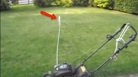 La geniale idea per tagliare il prato senza sforzo: lega il tagliaerba al paletto e fa tutto da solo