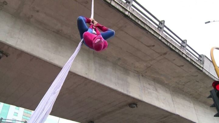 Rettile Che Si Arrampica Sui Vetri