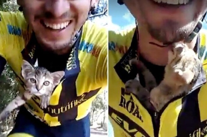 Ciclista salva un gattino abbandonato e lo porta con sé in bici: la ...