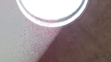 La magnifica pioggia di petali rossi: al Pantheon un'atmosfera suggestiva