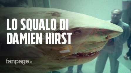 I segreti dello "squalo" di Damien Hirst: l'opera d'arte realizzata con una vera carcassa animale