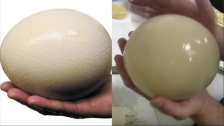 Uova di struzzo: un'ottima ricetta per cucinarle