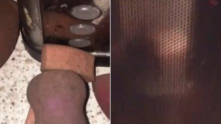 Mette la spugnetta per il make-up nel microonde: il sorprendente risultato dopo solo 1 minuto