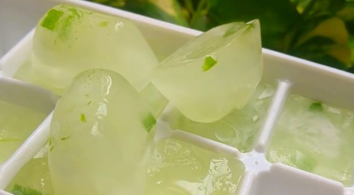 Aloe vera ice cubes: a natural remedy for your skin
