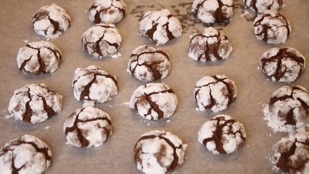 Biscotti al cacao: la ricetta semplice e gustosa da provare assolutamente