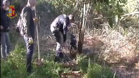 Droga nascosta sotto terra, la Polizia scava nei giardini del Rione Traiano