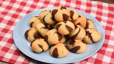 Frollini bicolore: la ricetta originale pronta in pochi passi!