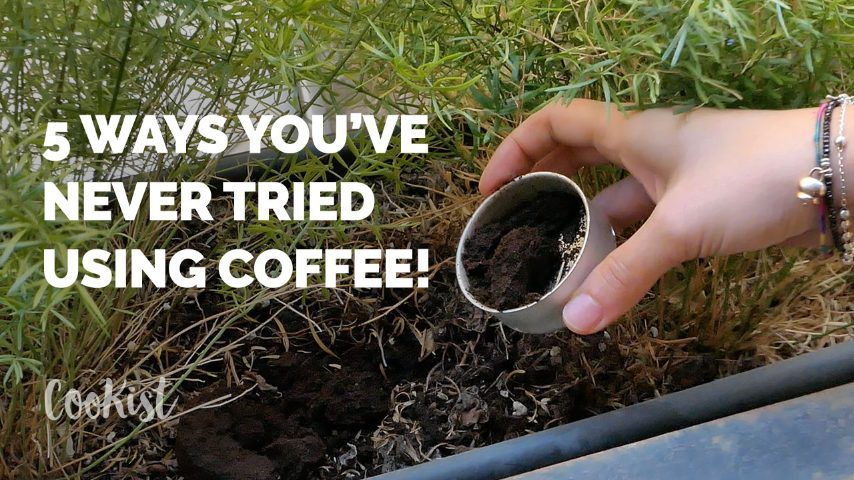 5 ways you’ve never tried using coffee!