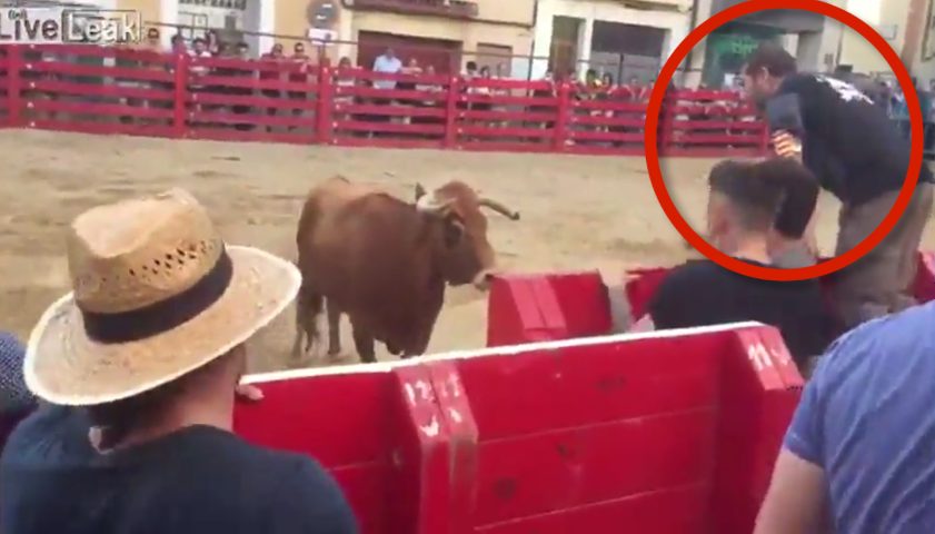 Quando Un Uomo Toro Si Allontana