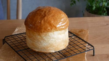 Torta brioche: il dessert più soffice e goloso di sempre