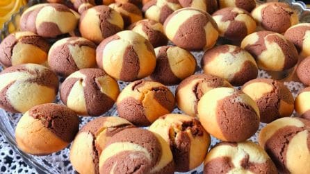 Biscotti bicolore: la ricetta golosa da servire ai tuoi ospiti