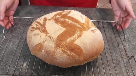 Pane salentino fatto in casa: la ricetta semplice e piena di gusto