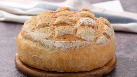 Pane furbo con 6 ingredienti: il trucco per farlo alto, gonfio e croccante!