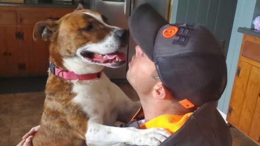 La gioia del pitbull adottato dopo 500 giorni in un rifugio: la ...