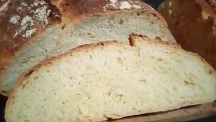 Pane fatto in casa senza impastatrice: la ricetta semplice e saporita