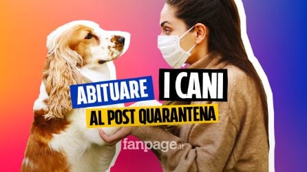 I 5 consigli pratici per far abituare i nostri cani al dopo quarantena