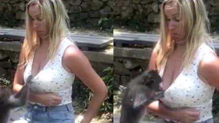 La scimmia è troppo "curiosa" e invadente: la turista resta immobile