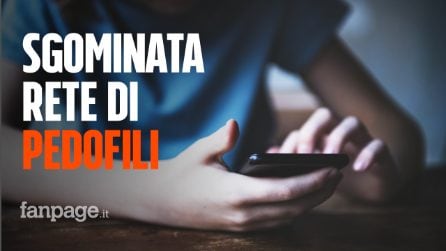 Pedopornografia: sgominata rete di pedofili in 12 regioni, vendevano video di sesso tra bambini