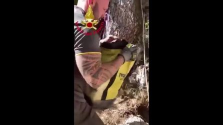 Cane precipita in una profonda voragine tra le rocce: le immagini del salvataggio