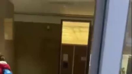 Accendono un fumogeno per festeggiare la laurea: scatta l'allarme, Università evacuata