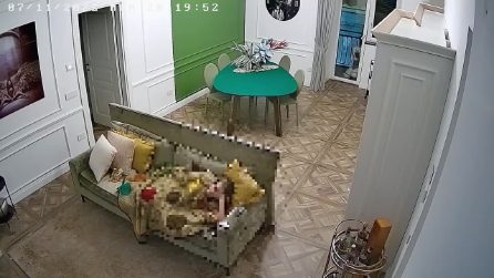 Tentato furto a Napoli, ladro forza la finestra mentre la proprietaria è sul divano