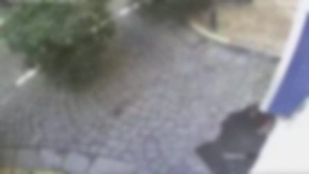Donna ruba in una palestra, il titolare: "Aiutatemi a trovarla, offro un abbonamento annuale gratis"