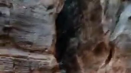 La città desertica di Petra inondata: turisti vengono evacuati