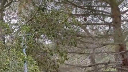 Tempeste in California, smottamenti e allagamenti per il maltempo