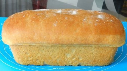 Pane bianco fatto in casa: la ricetta per averlo morbido e fragrante